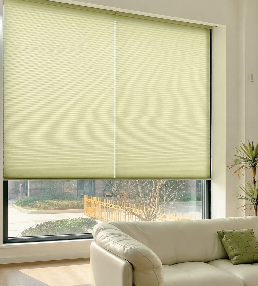 Honeycomb cellular shade on a living room window